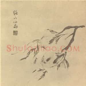 清代 陈豪国画作品《佛手》摘自 南画大成 卷五
