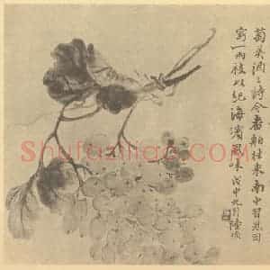 清代 陆恢国画作品《葡萄》摘自 南画大成 卷五