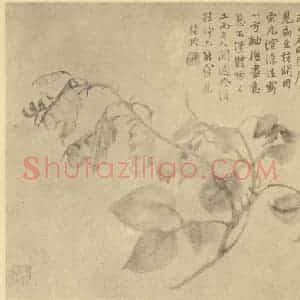 清代 陆恢国画作品《扁豆》摘自 南画大成 卷五