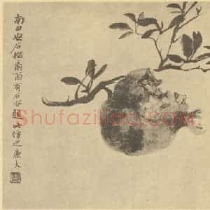 清代 陆恢国画作品《石榴》摘自 南画大成 卷五