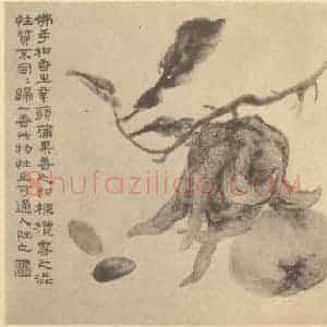 清代 陆恢国画作品《果实》摘自 南画大成 卷五