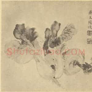清代 陆恢国画作品《蔬菜》摘自 南画大成 卷五