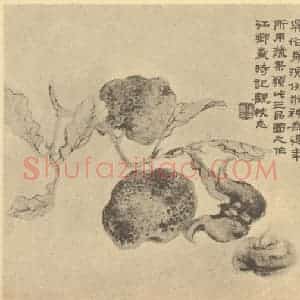 清代 陆恢国画作品《蔬果》摘自 南画大成 卷五