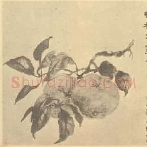 清代 陆恢国画作品《桃实》摘自 南画大成 卷五