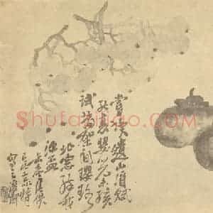 清代 吴昌硕国画作品《葡萄·柿实》摘自 南画大成 卷五