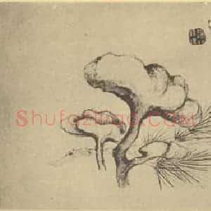清代 边寿民国画作品《松芝》摘自 南画大成 卷五