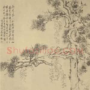 清代 李鳝国画作品《不老富贵图》摘自 南画大成 卷五