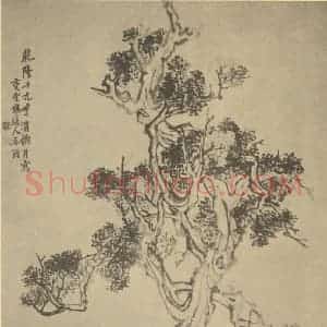 清代 李鳝国画作品《柏石图》摘自 南画大成 卷五