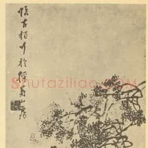 清代 李方膺国画作品《古柏》摘自 南画大成 卷五