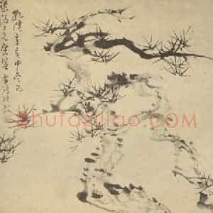 清代 张敔国画作品《画松》摘自 南画大成 卷五