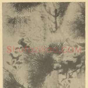 清代 姚元之国画作品《乔松图》摘自 南画大成 卷五