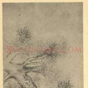 清代 戴熙国画作品《双松图》摘自 南画大成 卷五