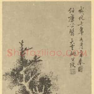 明代 姚绶国画作品《柏树图》摘自 南画大成 卷五