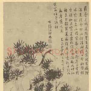 明代 张鼎国画作品《松树图》摘自 南画大成 卷五