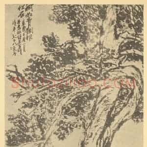 清代 吴昌硕国画作品《古柏图》摘自 南画大成 卷五