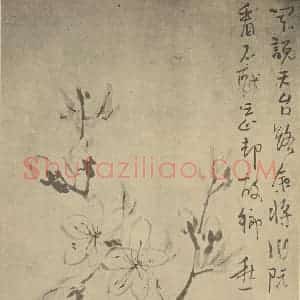 清代 颠道人国画作品《桃花》摘自 南画大成 卷五