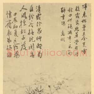 明代 陈淳国画作品《松菊图》摘自 南画大成 卷五