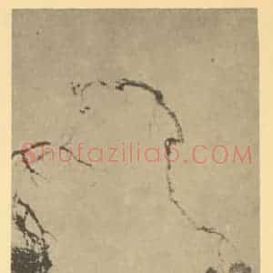 明代 徐渭国画作品《松石图》摘自 南画大成 卷五