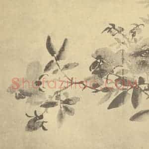 清代 张赐宁国画作品《蔷薇》摘自 南画大成 卷五