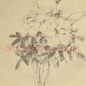 清代 吴熙载国画作品《蔷薇》摘自 南画大成 卷五