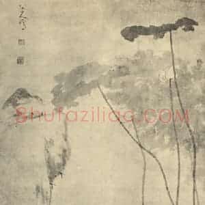 清代 朱耷国画作品《莲塘图》摘自 南画大成 卷六
