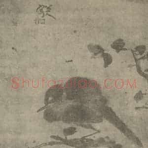 清代 朱耷国画作品《睡鸟图》摘自 南画大成 卷六