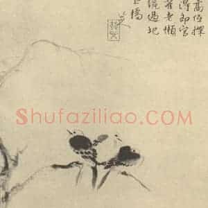 清代 朱耷国画作品《白雀图》摘自 南画大成 卷六