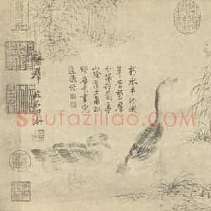 清代 恽寿平国画作品《鹅群图》摘自 南画大成 卷六