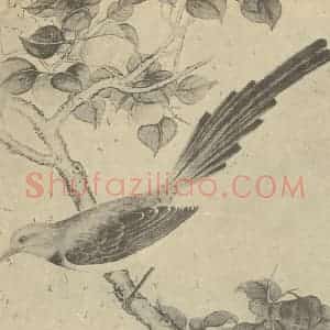 清代 蒋廷锡国画作品《翎毛图(一)》摘自 南画大成 卷六