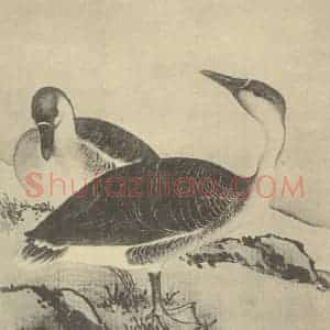 清代 蒋廷锡国画作品《翎毛图(四)》摘自 南画大成 卷六