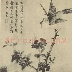 清代 蒋廷锡国画作品《花鸟》摘自 南画大成 卷六