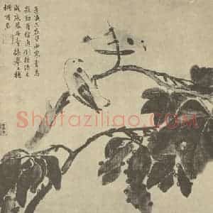 清代 蒋廷锡国画作品《画梧桐青鸟》摘自 南画大成 卷六
