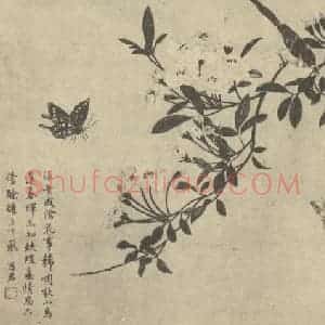 清代 蒋廷锡国画作品《蛱蝶图》摘自 南画大成 卷六