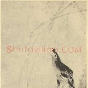 清代 黄慎国画作品《疏柳鸜鹆图》摘自 南画大成 卷六