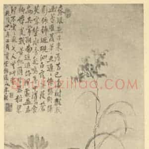 清代 李鳝国画作品《芦雁图》摘自 南画大成 卷六