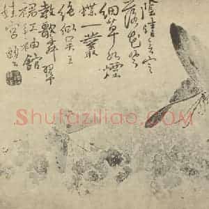 清代 边寿民国画作品《蝴蝶图》摘自 南画大成 卷六
