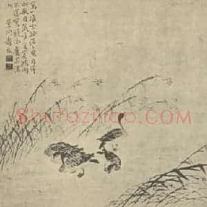 清代 边寿民国画作品《芦雁图(五)》摘自 南画大成 卷六