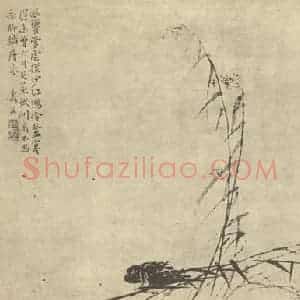 清代 边寿民国画作品《芦雁图(七)》摘自 南画大成 卷六