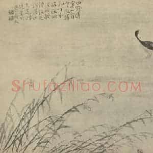 清代 边寿民国画作品《芦雁图(九)》摘自 南画大成 卷六