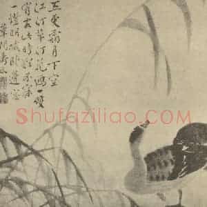清代 边寿民国画作品《芦雁图(三)》摘自 南画大成 卷六