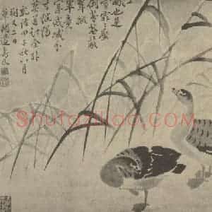 清代 边寿民国画作品《芦雁图(四)》摘自 南画大成 卷六
