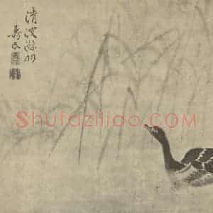 清代 边寿民国画作品《芦雁图(七)》摘自 南画大成 卷六