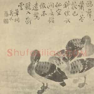 清代 边寿民国画作品《芦雁图(九)》摘自 南画大成 卷六