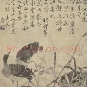 清代 边寿民国画作品《芦雁图(十)》摘自 南画大成 卷六
