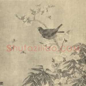 清代 邹一桂国画作品《花鸟图(三)》摘自 南画大成 卷六