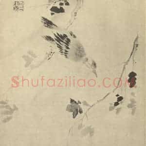 清代 汪恭国画作品《幽禽图》摘自 南画大成 卷六