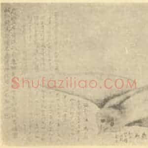 清代 赵之谦国画作品《画东瓯海物卷图(二)》摘自 南画大成 卷六