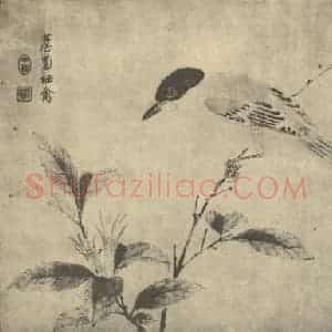 宋·辽代 宋人国画作品《薝卜栖禽》摘自 南画大成 卷六