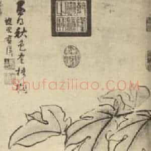 明代 蓝瑛国画作品《秋老梧桐图》摘自 南画大成 卷六