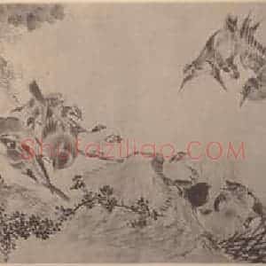 清代 沙馥国画作品《百鸟图卷(一)》摘自 南画大成 卷六